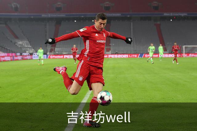 吉祥坊well品牌介绍图片